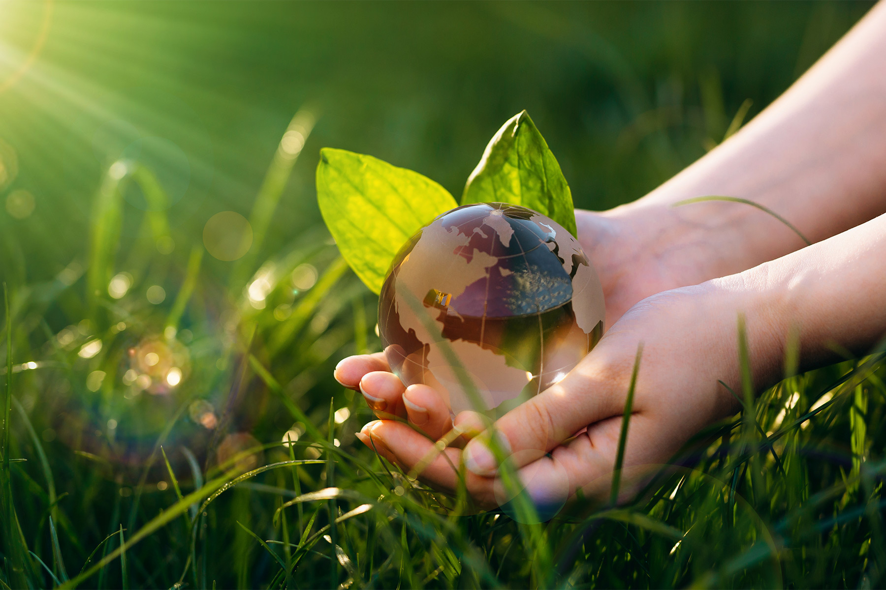 OCA Global amplía su acreditación para Validaciones DNSH