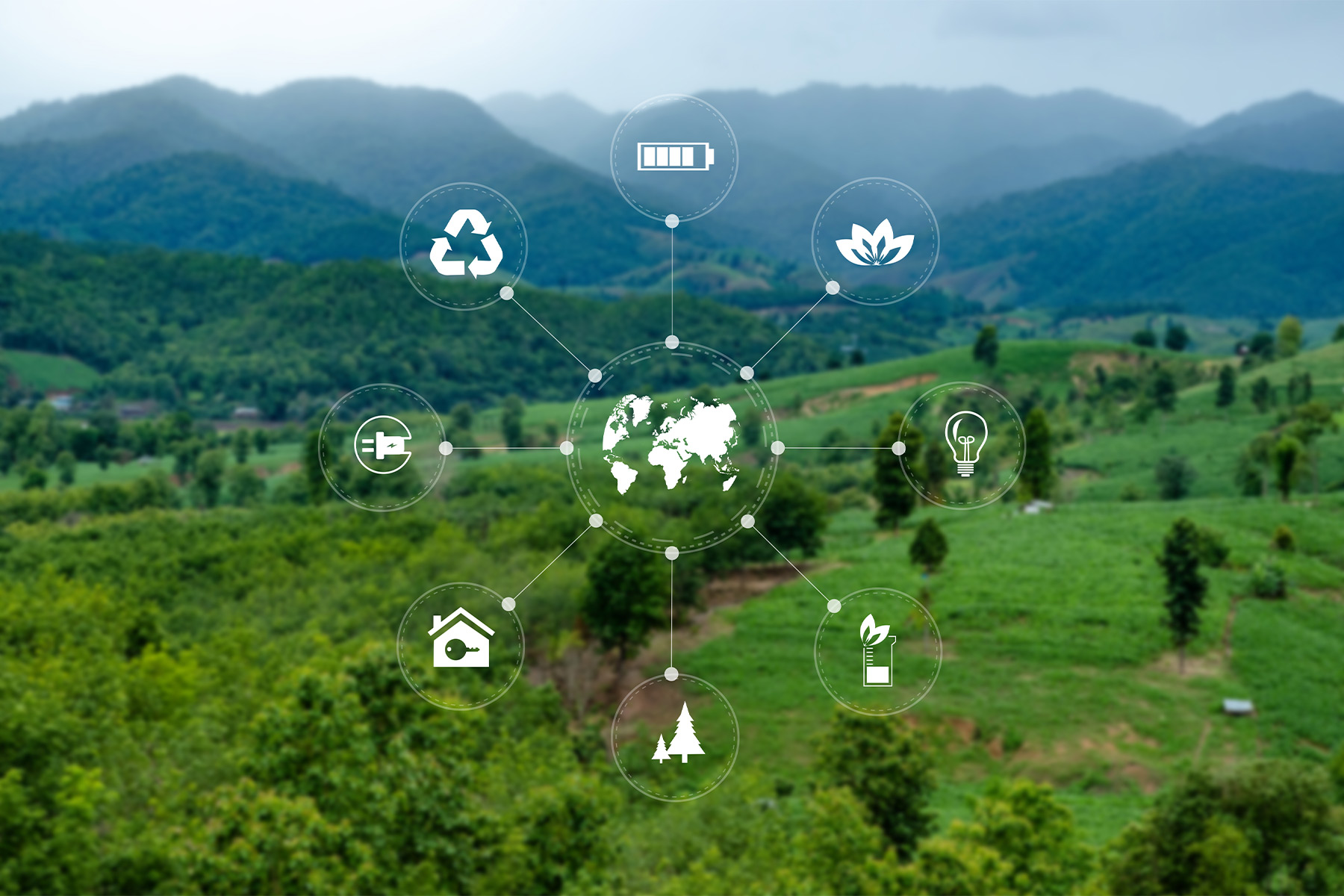 OCA GLOBAL en acción por los ODS